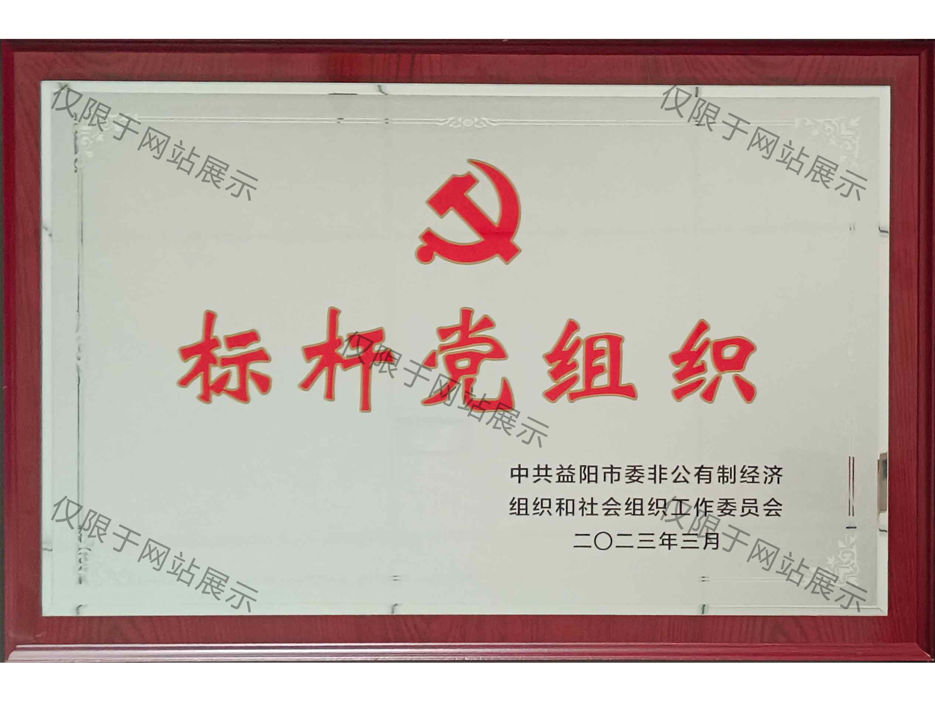 2023年益陽市標桿黨組織
